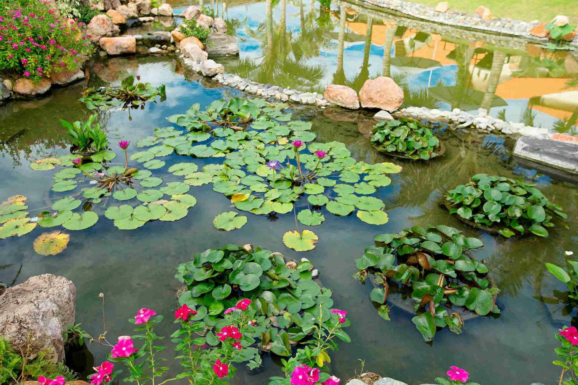 פאן ת'ייט Blue Bay Mui Ne Resort & Spa מראה חיצוני תמונה